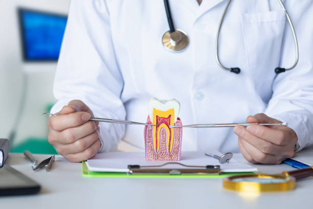 Best Broken Tooth Emergency  in Rose Hill, KS